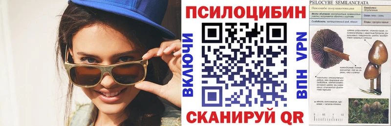 Галлюциногенные грибы Magic Shrooms Суворов