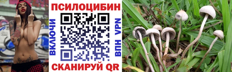 Галлюциногенные грибы Psilocybine cubensis  как найти закладки  Суворов 